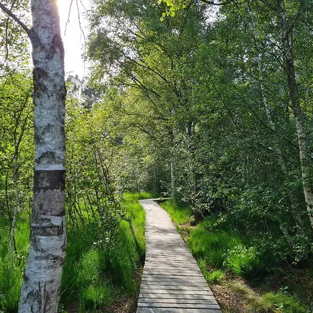 Hierl * Burgberg im Allgäu